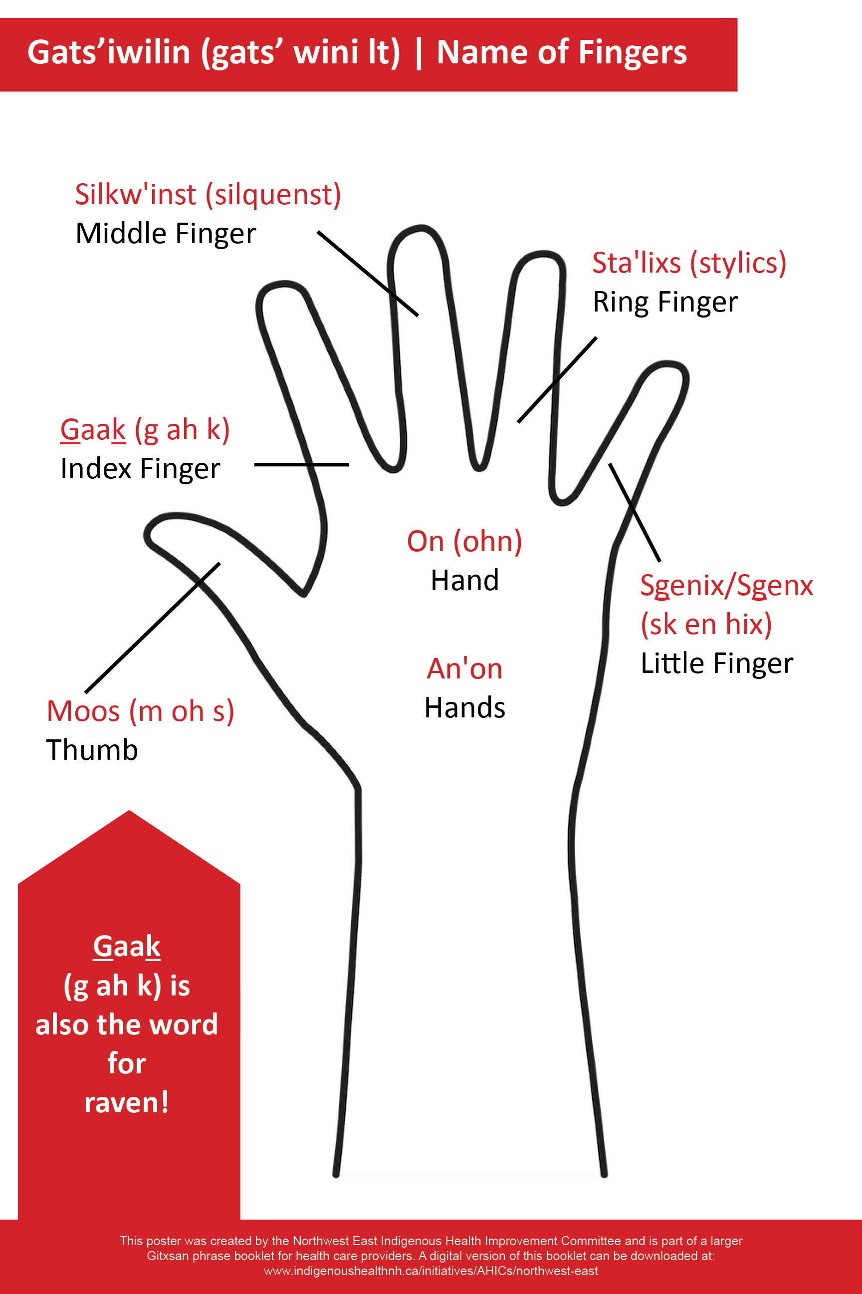 Name-of-Fingers.jpg