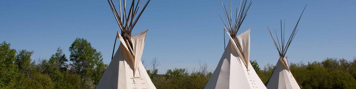 Three teepees on a grassy plain