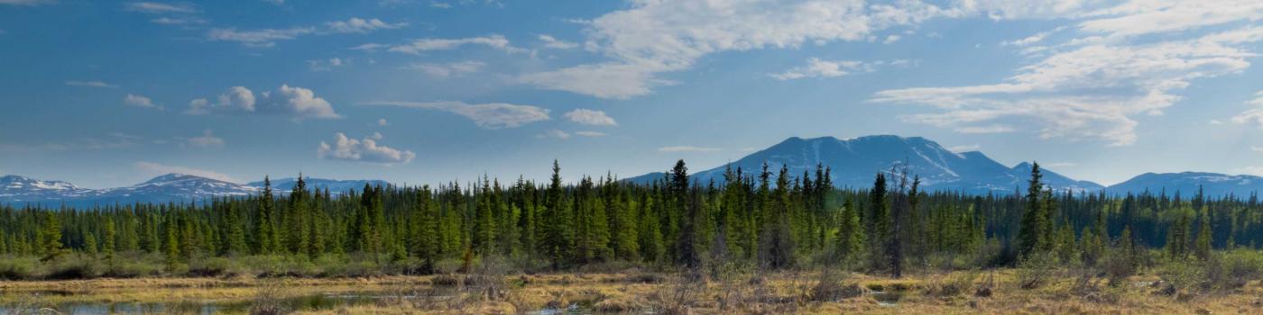 Northern marshland and mountain range