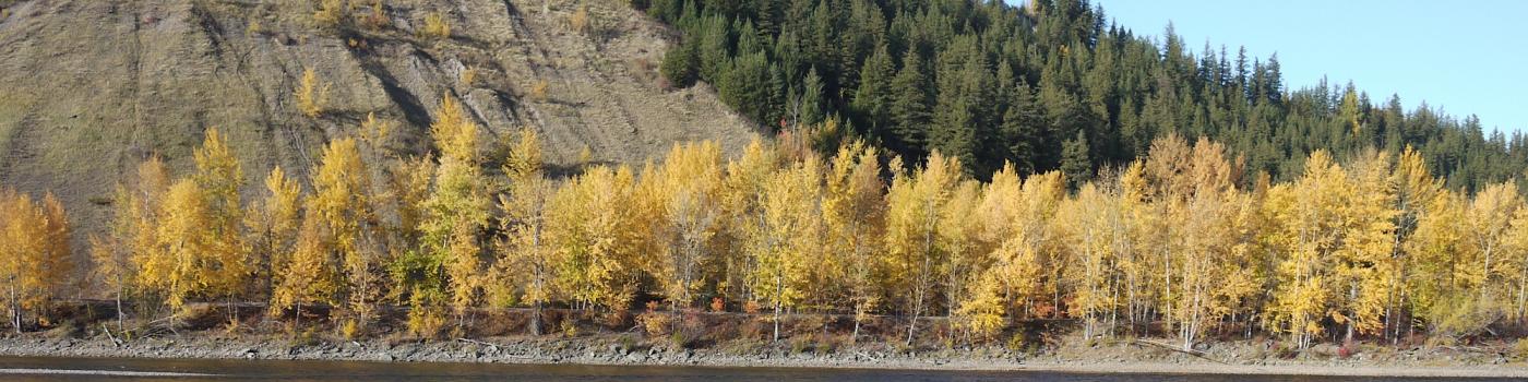 Cutbanks and Nechako river in Prince George,BC