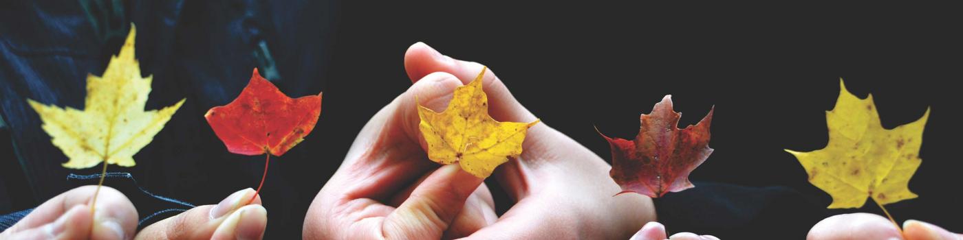 Six hands holding up small autumn coloured leaves