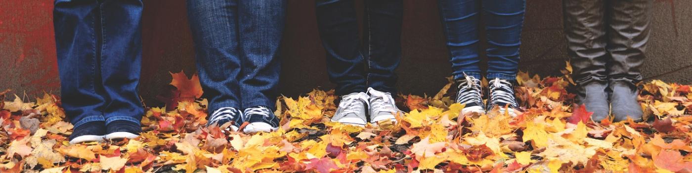Five youth's legs standing in pile of autumn leaves