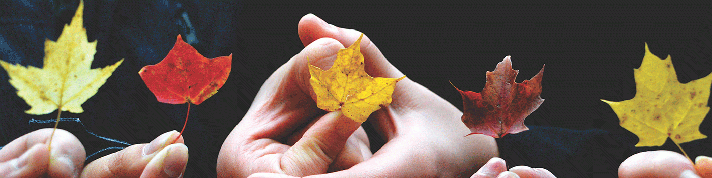 many hands holding fall leaves