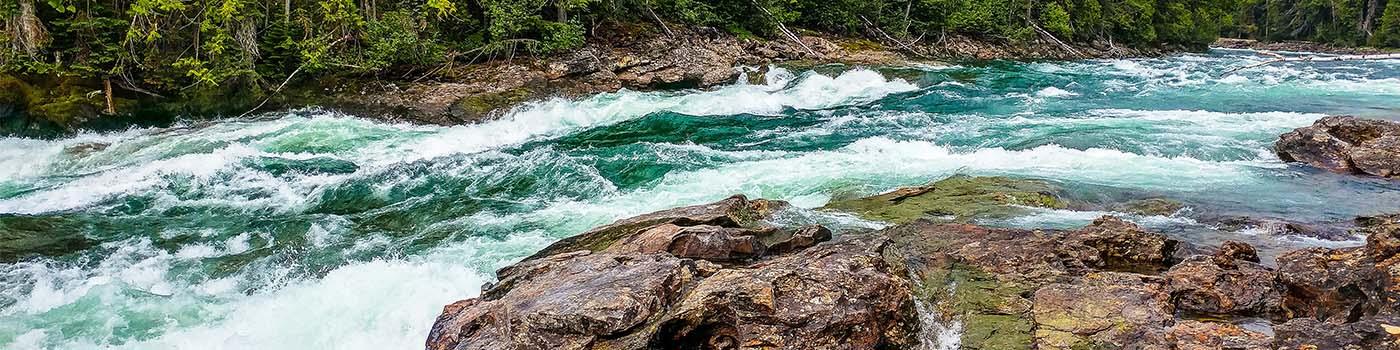 rushing river water with brown rocks covered in moss set against a forest edge