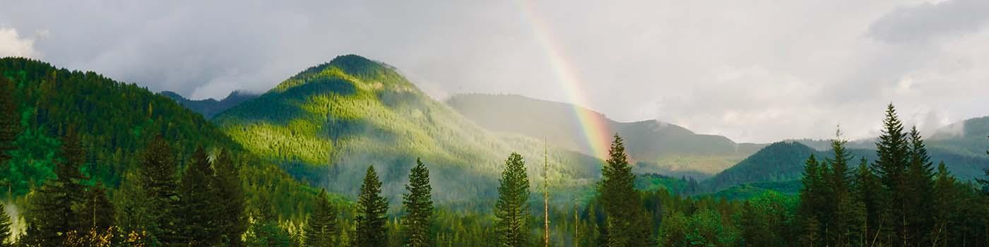 Green mountainous landscape with a rainbow