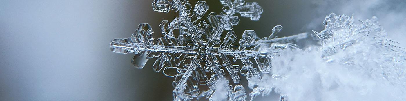 close up of a snowflake