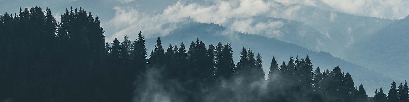 View of trees with clouds and mountains in the background