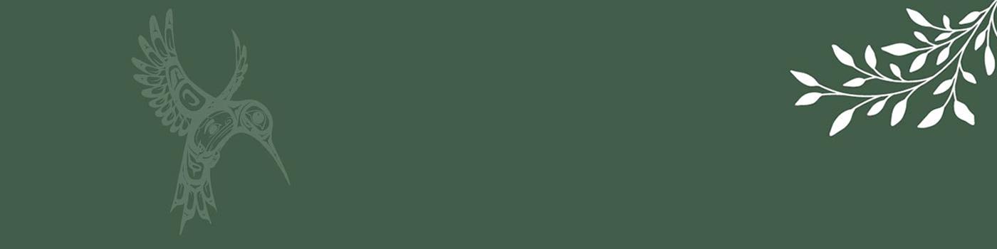 Green background with indigenous hummingbird graphic
