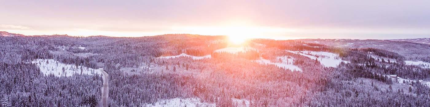 Snowy landscape image of a forest with the sun rising in the middle