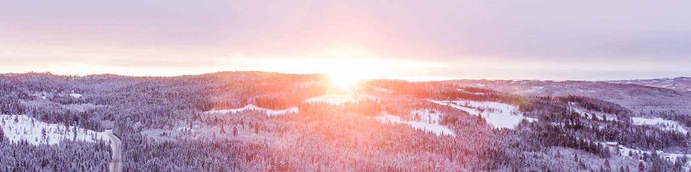 Landscape image of a forest with the sun rising in the middle