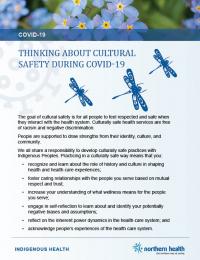 Cover of fact sheet with dragon flies and text that reads "thinking about cultural safety during covid-19"