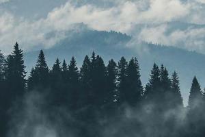 View of trees with clouds and mountains in the background