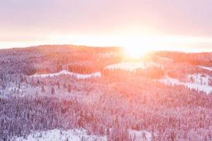 Snowy landscape image of a forest with the sun rising in the middle
