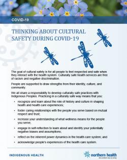 Cover of fact sheet with dragon flies and text that reads "thinking about cultural safety during covid-19"